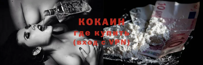 купить закладку  shop клад  Cocaine Эквадор  Горнозаводск 